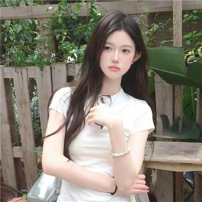 鸽之翼